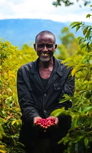 24/25 ETİYOPYA ASEFA DUKAMO QUNQNA #2/HONEY