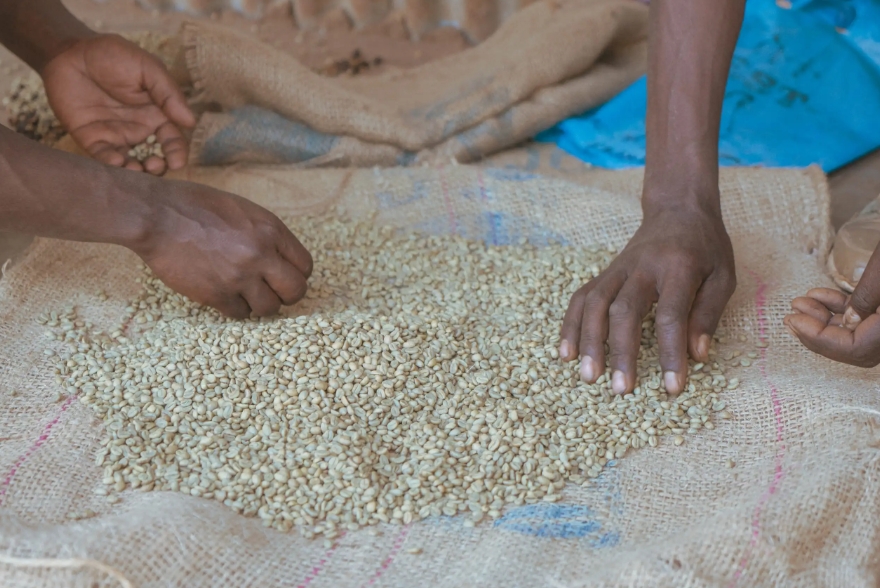 24/25 ETİYOPYA KOCHERE BİLOYA DRY CHERRY/NATURAL