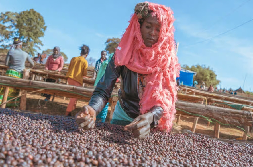 24/25 ETİYOPYA KOCHERE BİLOYA DRY CHERRY/NATURAL