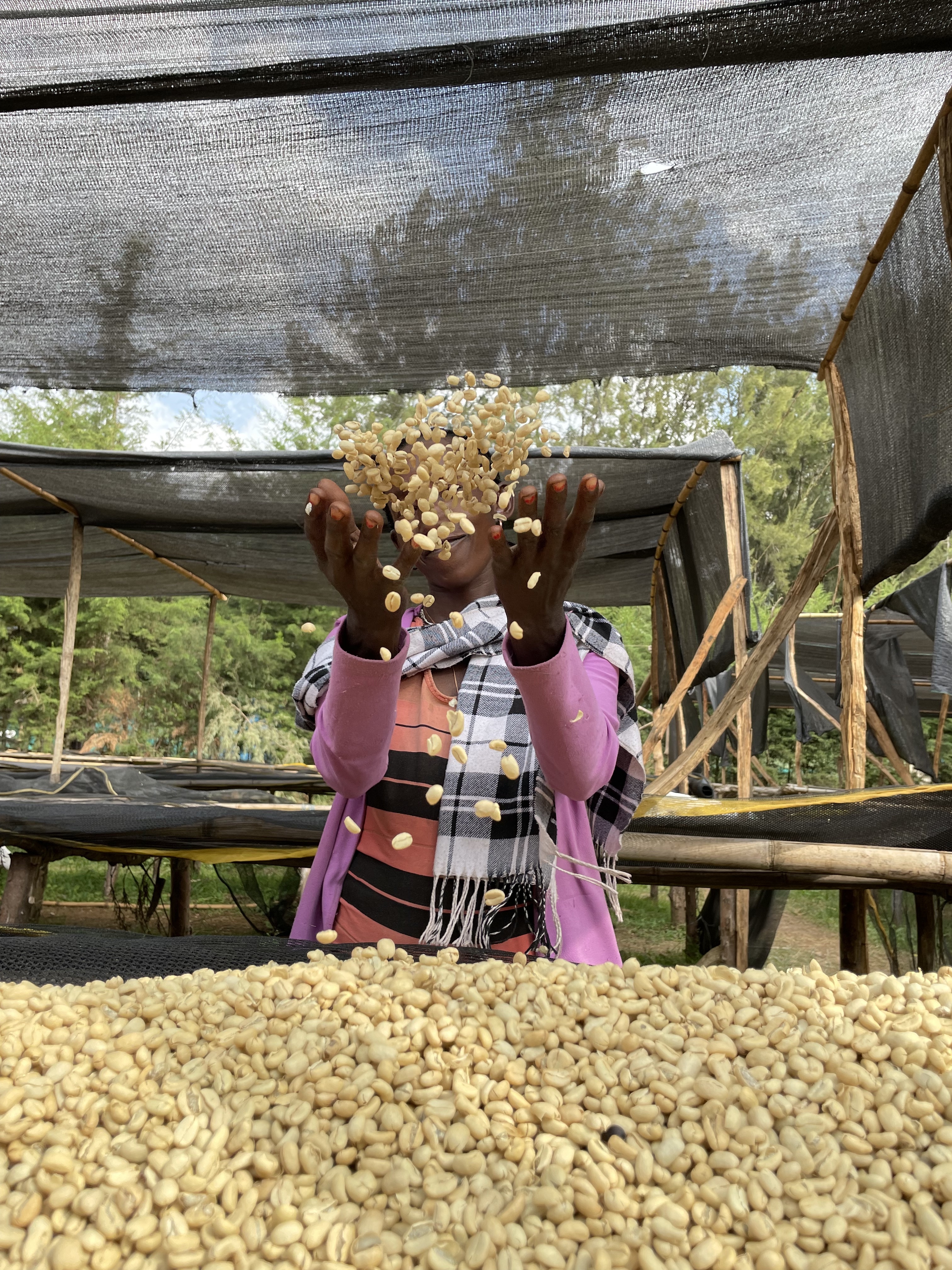 24/25 ETİYOPYA ARİCHA ADORSİ/YIKANMIŞ